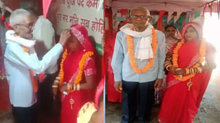 రాజస్తాన్ లో వింత గబ్బిలాలు.. నక్కలాంటి రూపంలో పొడవైన గబ్బిలాలు