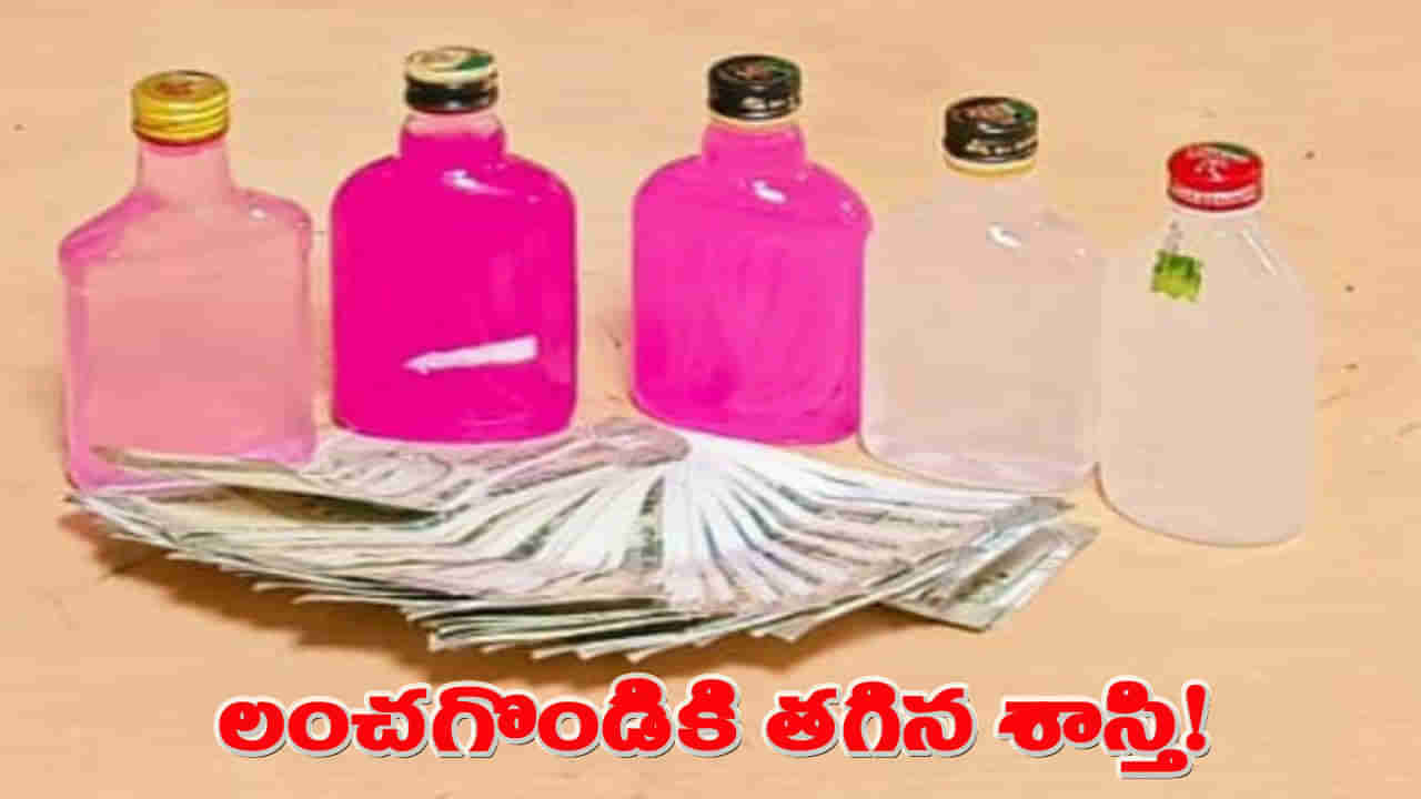 రూ. 1500 లంచం కేసులో 13 ఏళ్ల విచారణ.. సంచలన తీర్పునిచ్చిన ఏసీబీ కోర్టు