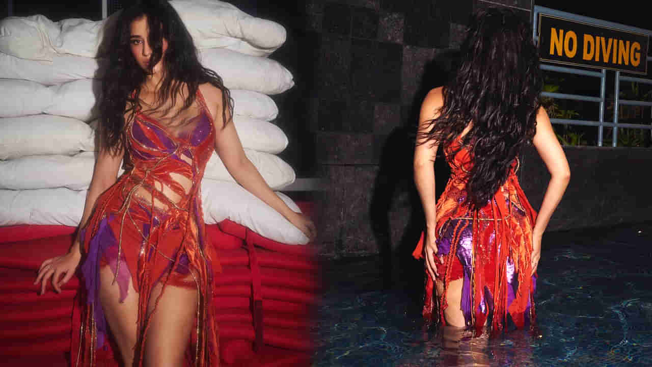 రెండు సినిమాలు చేస్తే.. ఒకటి డిజాస్టర్.. ఒకటి బ్లాక్ బస్టర్.. ఈ అమ్మడు ఎవరంటే..