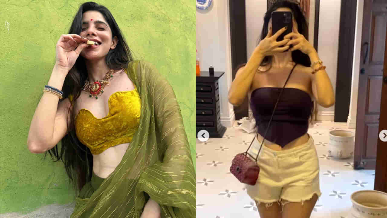 చేసింది రెండు సినిమాలు.. రెండూ డిజాస్టర్స్.. కానీ కుర్రాళ్ల డ్రీమ్ గర్ల్..