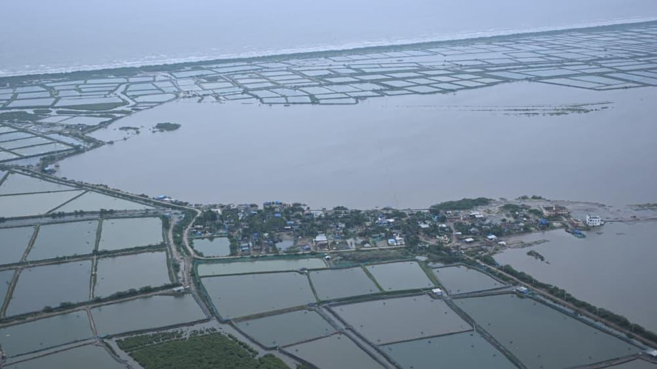 ఏరియల్ సర్వే తర్వాత రోడ్డు మార్గాన అల్లవరం మండలం బెండమూర్లంక చేరుకున్న సీఎం చంద్రబాబు.. నేలకొరిగిన వరి పొలాల పరిశీలించారు.