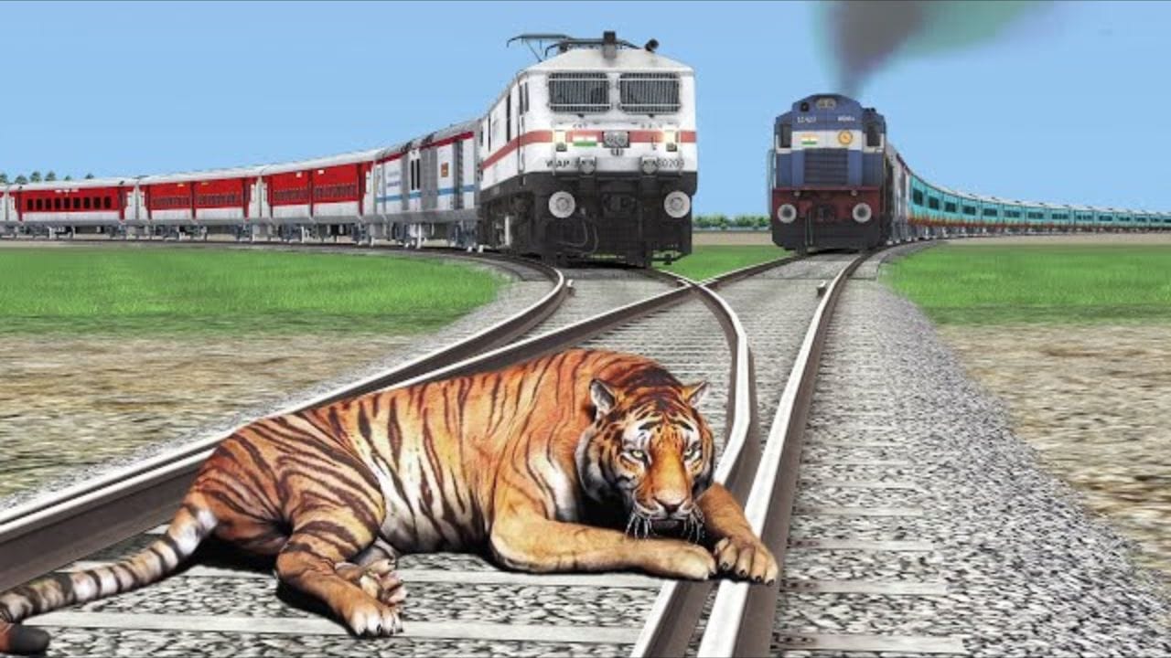 పులుల మృత్యుఘోష.. యమపాశంగా మారిన రైల్వే లైన్.. ఎన్ని చనిపోయాయంటే ...