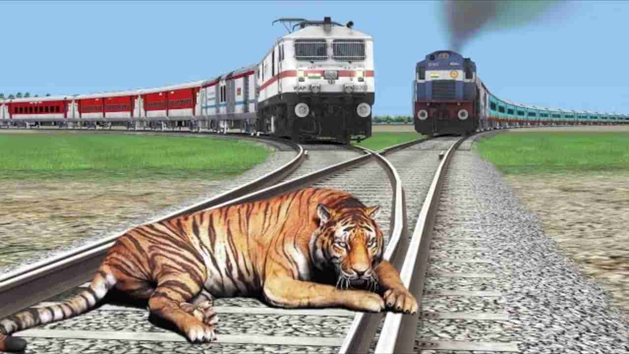 పులుల మృత్యుఘోష.. యమపాశంగా మారిన రైల్వే లైన్.. ఎన్ని చనిపోయాయంటే?