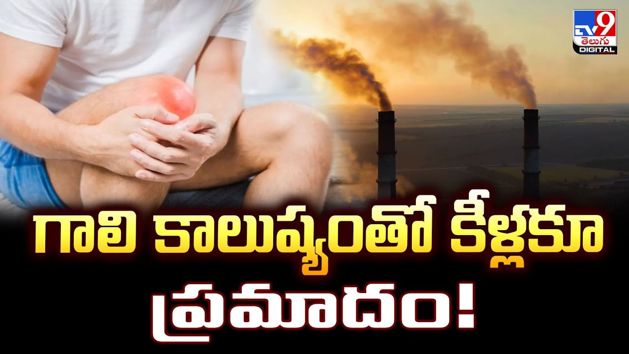 గాలి కాలుష్యంతో కీళ్లకూ ప్రమాదం వీడియో