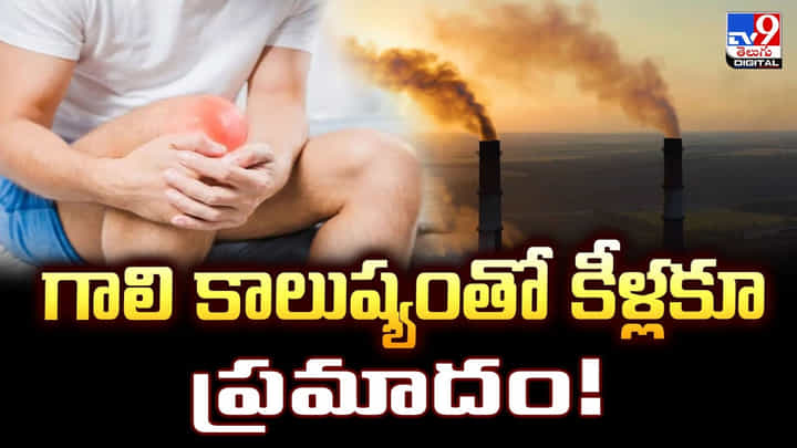గాలి కాలుష్యంతో కీళ్లకూ ప్రమాదం వీడియో గాలి కాలుష్యంతో కీళ్లకూ ప్రమాదం వీడియో