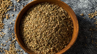 ఎయిర్ ఫ్రైయర్లు క్యాన్సర్‌కు కారణం అవుతాయా? నిపుణులు ఏమంటున్నారంటే?