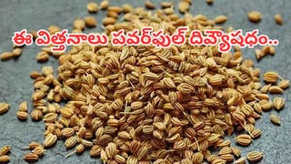 చలికాలంలో వేడి నీళ్ల స్నానం మంచిదా..? చల్ల నీళ్ల స్నానం మంచిదా..? నిపుణులు ఏం చెబుతున్నారంటే..