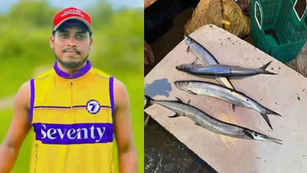 యువకుడిపై చేప దాడి..! ముక్కుతో కడుపులో బలంగా పొడవడంతో మృతి..