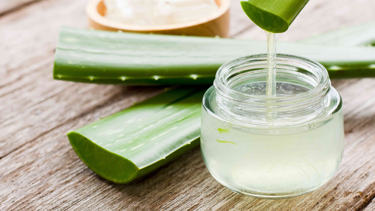 పోషకాలు మెండుగా ఉంటాయి: కలబందరసం పరగడుపునే తాగితే చాలా మంచిదని పెద్దలు, ఆయుర్వేద నిపుణులు చెబుతుంటారు. ఇందులో పోషకాలు మెండుగా ఉంటాయి. విటమిన్లు ఎ,సి,ఈ, బి-కాంప్లెక్స్ తో పాటు కాల్షియం, మెగ్నీషియం, జింక్, పొటాషియం వంటి ఖనిజాలు కూడా ఉన్నాయి. ఖాళీ కడుపుతో కలబందరసం తాగితే ఈ పోషకాలన్నీ మన శరీరానికి అందుతాయి.