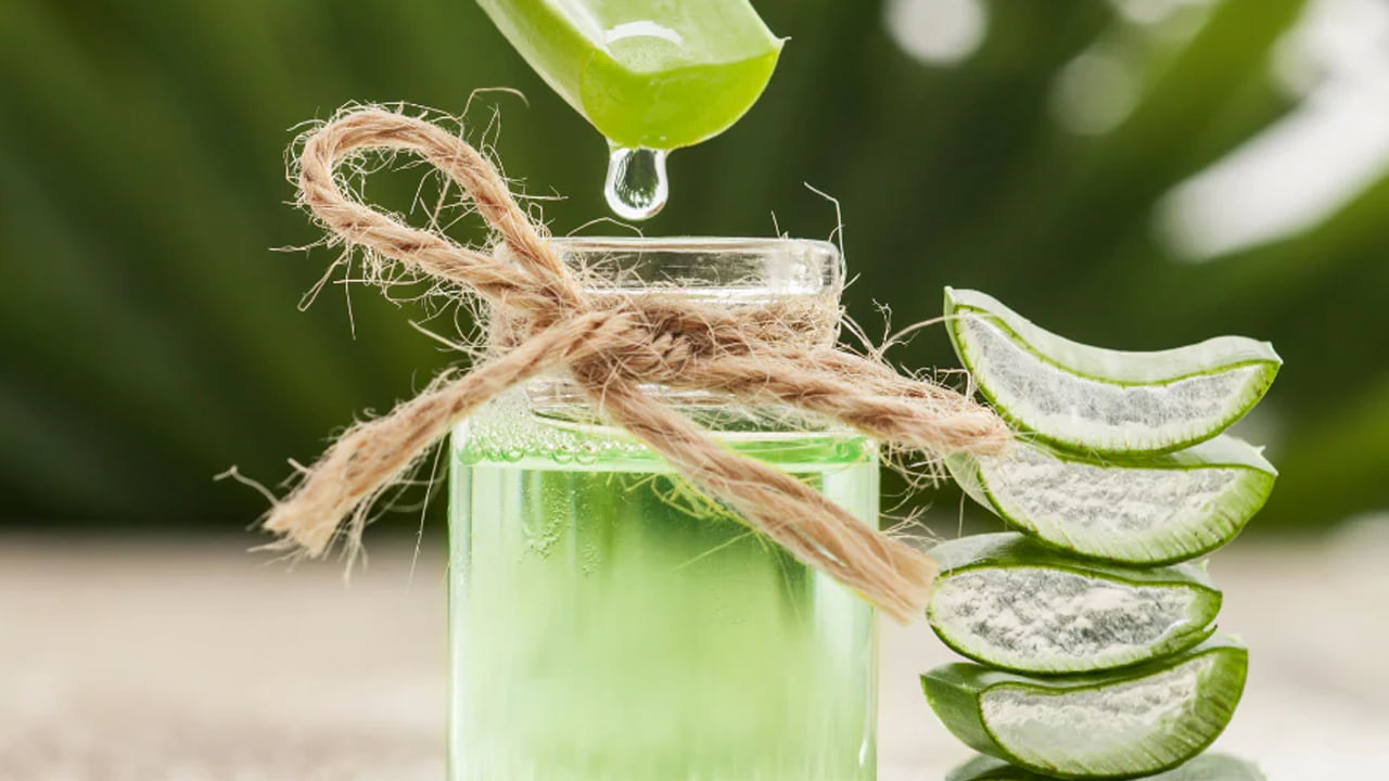 పొటాషియం లోపం: పరగడుపున కలబంద రసం తాగితే అంతా మంచే జరుగుతుందా అంటే కాదు. కలబంద రసాన్ని అతిగా తాగితే.. శరీరంలో పొటాషియం లోపం ఏర్పడి.. గుండె వేగంగా కొట్టుకుంటుంది లేదా ఆగిపోతుంది. ముఖ్యంగా చలికాలంలో కలబంద రసాన్ని ఎక్కువగా తీసుకోకూడదు.