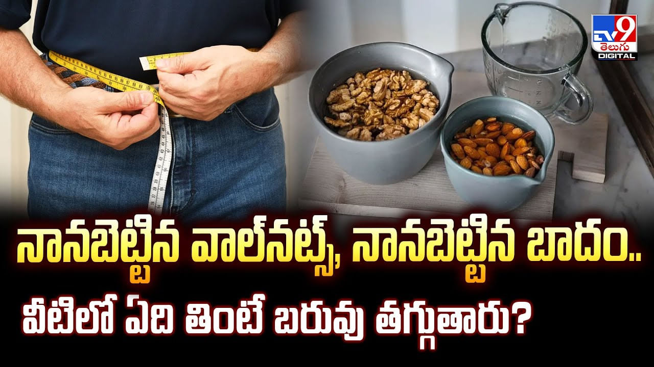 నానబెట్టిన వాల్నట్స్, నానబెట్టిన బాదం.. వీటిలో ఏది తింటే బరువు తగ్గుతారు?వీడియో నానబెట్టిన వాల్నట్స్, నానబెట్టిన బాదం.. వీటిలో ఏది తింటే బరువు తగ్గుతారు?వీడియో