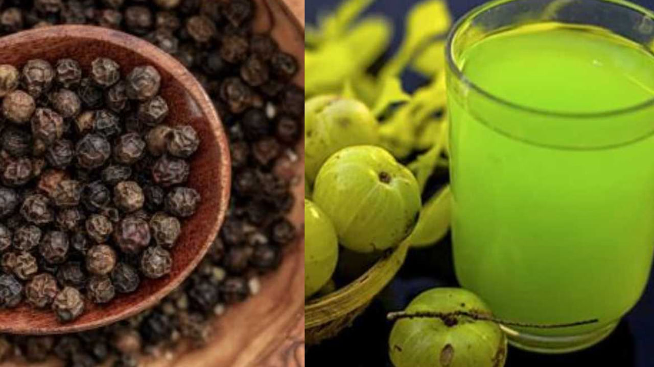 Winter health Tips: శీతాకాలంలో సర్వరోగనివారిణి ఉసిరి, మిరియాలు.. రెండిటిని కలిపి తింటే ఆరోగ్య ప్రయోజనాలు ఎన్నో..