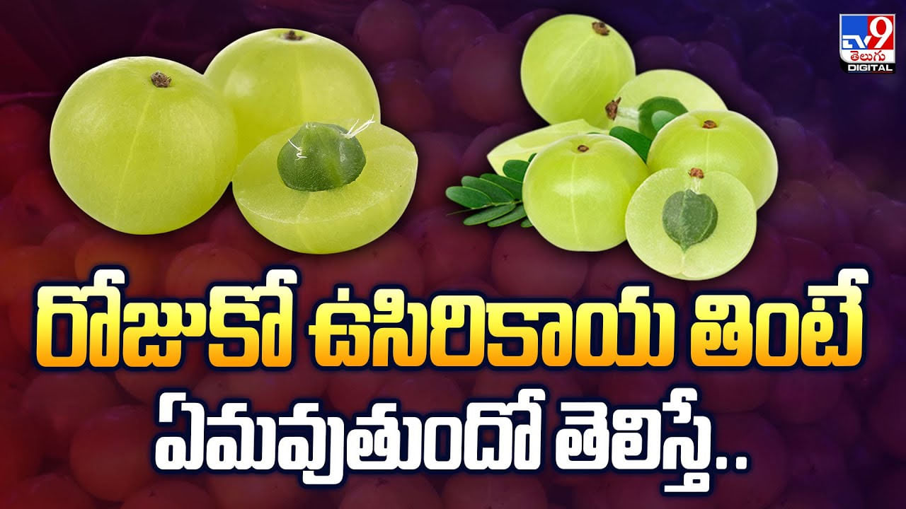 రోజుకో ఉసిరికాయ తింటే ఏమవుతుందో తెలిస్తే..