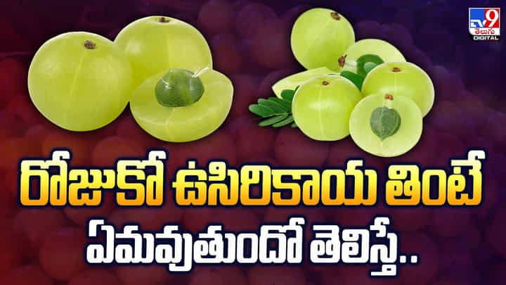 రోజుకో ఉసిరికాయ తింటే ఏమవుతుందో తెలిస్తే.. రోజుకో ఉసిరికాయ తింటే ఏమవుతుందో తెలిస్తే..