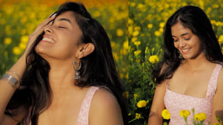 పవన్ కళ్యాణ్, తారక్, రిజక్ట్ చేసిన సినిమాలతో సూపర్ హిట్ కొట్టిన హీరో ఎవరంటే?