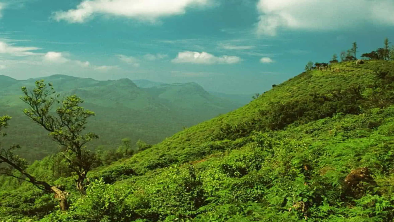 ​అనంతగిరి కొండలు: ఇది హైదరాబాద్ నుండి సుమారు 79 కిలోమీటర్ల దురంలో ఉంది. పచ్చదనం మధ్య ఉన్న పర్వతం అనంతగిరి.ఇక్కడి జలపాతాలు మనకి మంచి ఆహ్లదాన్ని ఇస్తాయి. ఇక్కడ అనంత పద్మ నాభ స్వామి ఆలయం కూడా మనం దర్శించుకోవచ్చు.ట్రెక్కింగ్ ఇష్టం ఉన్నవాళ్ళకి మంచి ప్లేస్ గా చెప్పుకోవచ్చు. ఒక్కమాటలో చెప్పాలంటే..అందమైన అనంతగిరి కొండలు ఆధ్యాత్మికతకు నిలయమైన పద్మనాభ ఆలయం. ఆపై ఔషధ మొక్కలు వెరసి ఈ కొండలు వేలాది మంది పర్యాటకులను ఆకట్టుకోవడమే కాదు, మానసిక ఉల్లాసంతో పాటు ఆరోగ్యాన్ని కూడా ప్రసాదిస్తున్నాయి. 