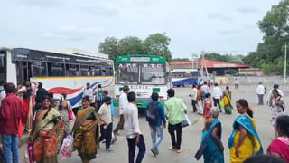 CM Chandrababu: దుబాయ్ నుంచే వర్షాలపై సీఎం చంద్రబాబు సమీక్ష.. ఆ జిల్లాలకు అత్యవసర నిధులు మంజూరు