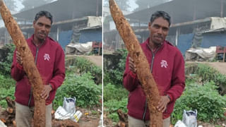 Andhra Pradesh: గ్రామ, వార్డు సచివాలయ సిబ్బందికి బిగ్ అలర్ట్.. ప్రభుత్వం కీలక ఆదేశాలు..