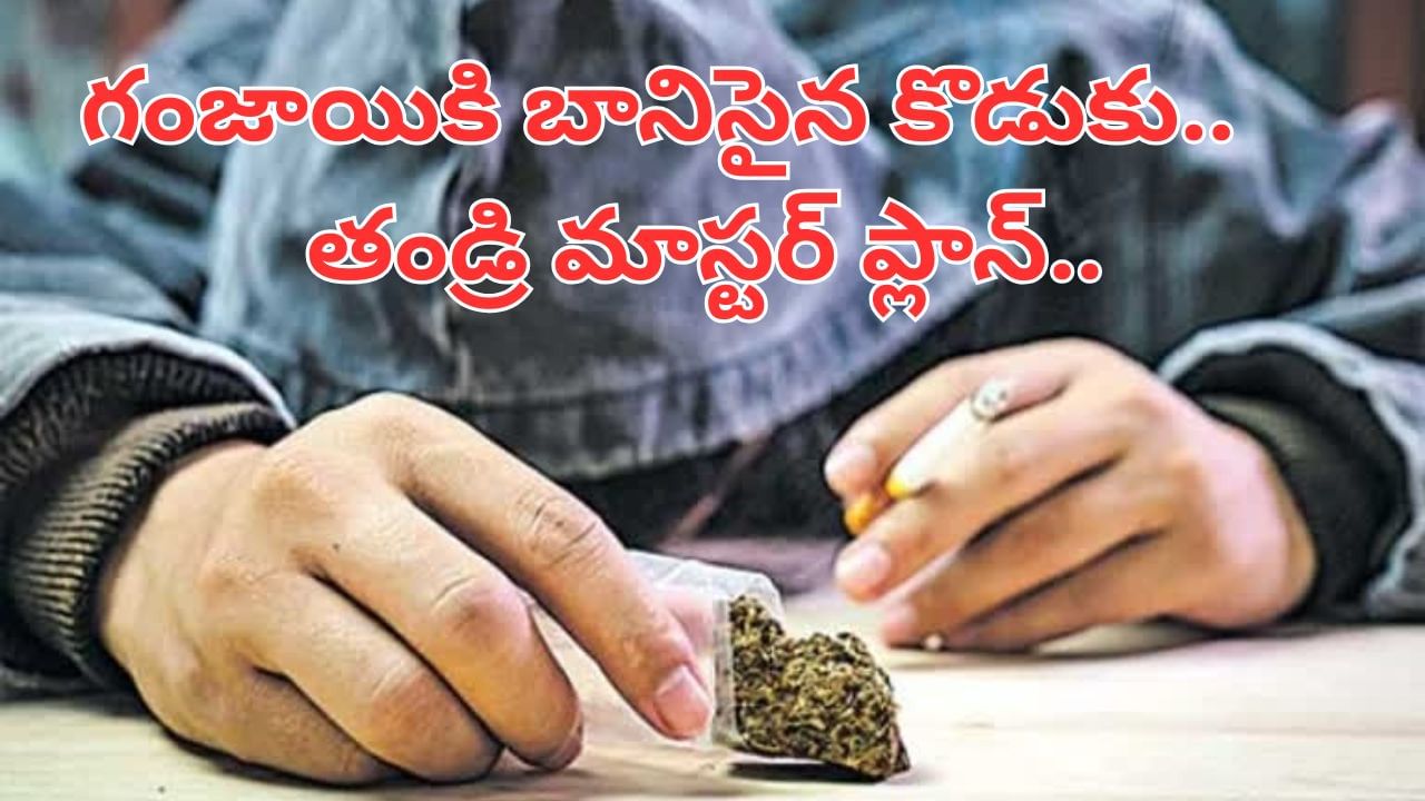 Andhra News: గంజాయికి బానిసైన కొడుకు.. మాన్పించేందుకు తండ్రి మాస్టర్‌ ప్లాన్.. ఏం చేశాడో తెలిస్తే..