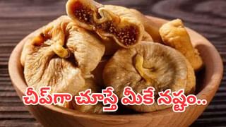 Snoring Facts: మీ గురక మీకెందుకు వినిపించదో తెలుసా? స్టడీలో బయటపడ్డ ఇంట్రెస్టింగ్ విషయాలు!