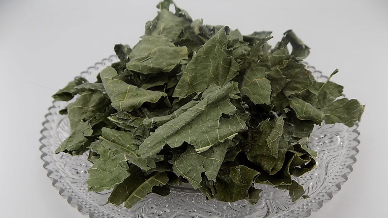 అంజీర్ పండ్లు రుచికరమైనవి మాత్రమే కాదు, అనేక పోషక ప్రయోజనాలను కూడా కలిగి ఉంటాయి. కానీ, మీరు ఎప్పుడైనా అంజూర చెట్టు ఆకుల గురించి ఆలోచించారా? అంజీర్ ఆకులు అనేక ఔషధ గుణాలను కలిగి ఉన్నాయి. ఈ ఆకులు ముఖ్యంగా మధుమేహం ఉన్నవారికి అమృతంలాంటి ప్రయోజనాలు అందిస్తుందని నిపుణులు చెబుతున్నారు. ఆయుర్వేదంలో అంజీర్ ఆకును ఔషధ గనిగా పిలుస్తారు. 