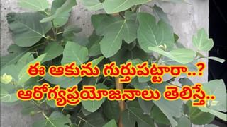 Kidney Health: ఉదయం ఈ  తప్పు చేస్తున్నారు! కిడ్నీలు పోగొట్టుకుంటున్నారు..