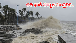 Andhra: ఇంటి టైల్స్ చీల్చుకుని వెలసిన అమ్మవారు.. ఏపీలో ఆశ్చర్యకర ఘటన