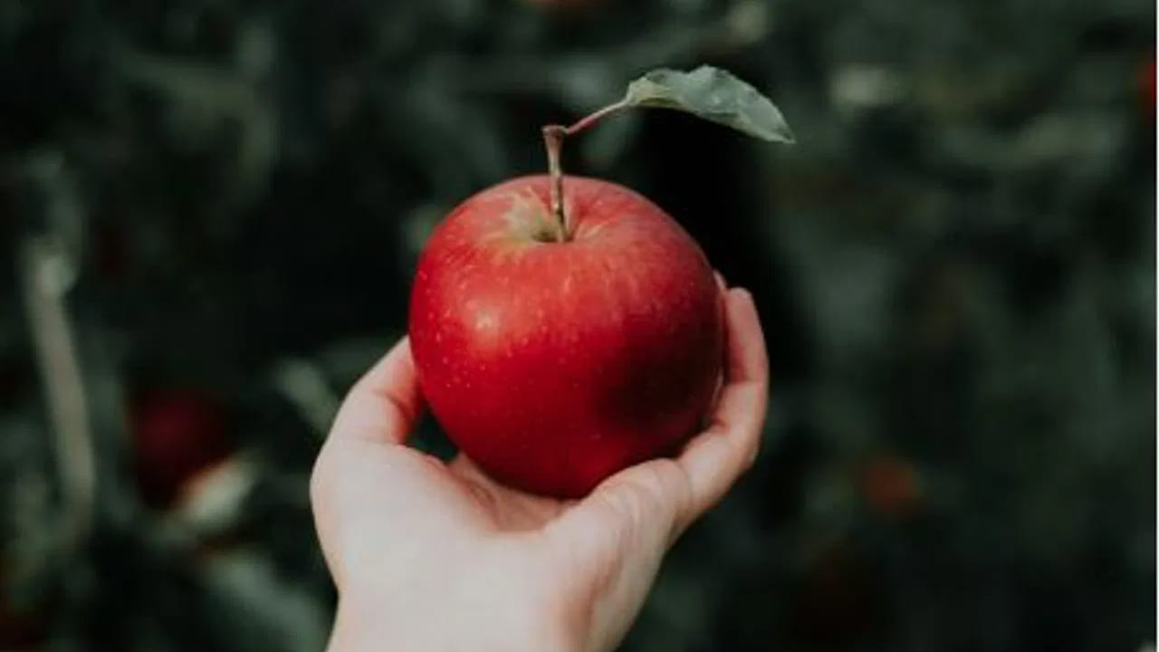 ఒక ఆపిల్ సహజంగా పండినదా లేదా అని తనిఖీ చేయడానికి దానిని సగానికి కోసి నీటిలో వేయాలి. ఆపిల్ నీటిలో తేలుతుంటే, దానిని సహజంగా పండినట్లుగా భావిస్తారు. అలాకాకుండా ఆపిల్ నీటిలో మునిగిపోతే అది రసాయనాల సహాయంతో పండించినట్లు అర్ధం చేసుకోవాలి.