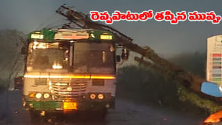 Andhra: ఆ మహిళకు 6 నెలలుగా తగ్గని జ్వరం, దగ్గు.. టెస్టులు చేయగా ఊపిరితిత్తుల్లో
