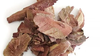 Health Tips: ఒక వ్యక్తి రోజుకు ఎన్ని సార్లు తినాలి.. తక్కువ తింటే ఏమవుతుంది..?