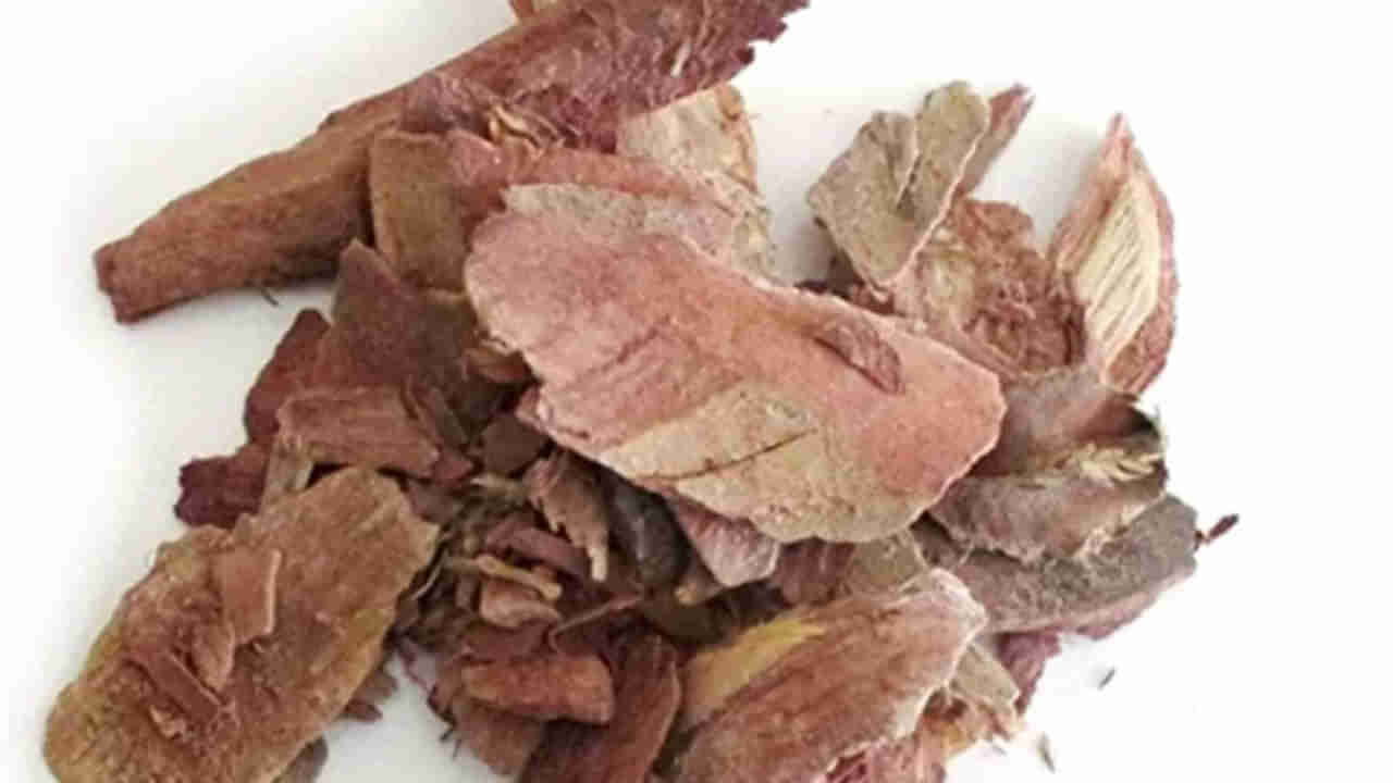 ఇది మీ బాడీలోకి వెళ్లిందంటే.. ప్రాణాంతక వ్యాధులకు దబిడి దిబిడే..