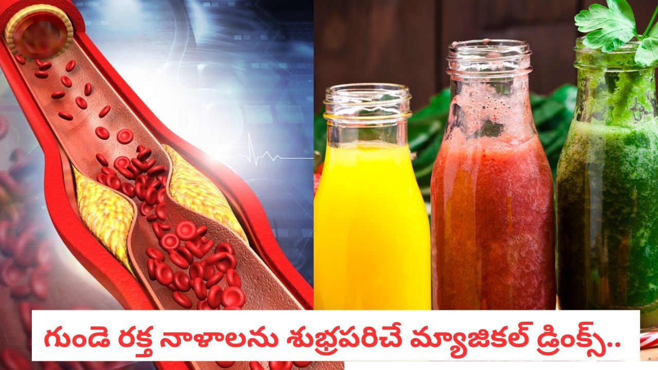 Heart Health: మూసుకుపోయిన బ్లాకులను సైతం తెరిపించగలవు.. మీ డైట్లో ఈ 4 ఉన్నాయా? Heart Health: మూసుకుపోయిన బ్లాకులను సైతం తెరిపించగలవు.. మీ డైట్లో ఈ 4 ఉన్నాయా?