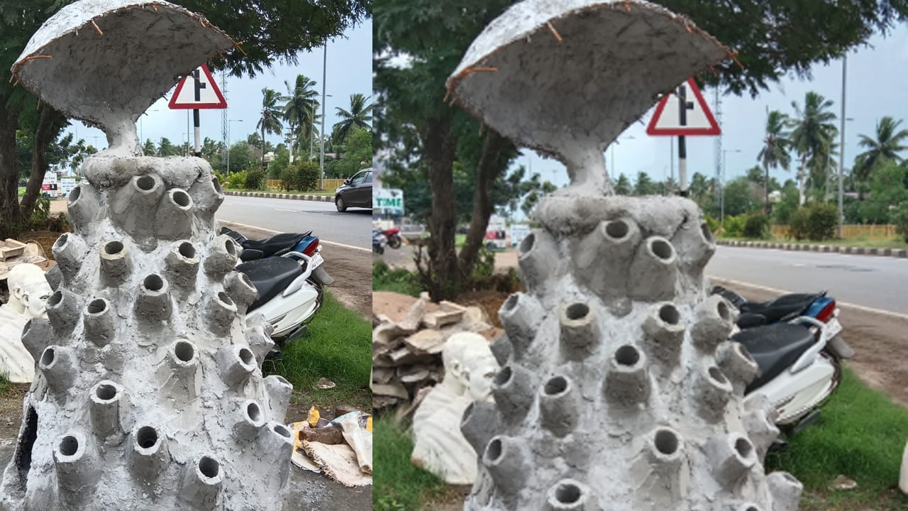 Andhra: రోడ్డు పక్కన నాగమయ్య పుట్ట.. పదండి దీని గుట్టు చెప్తా...!