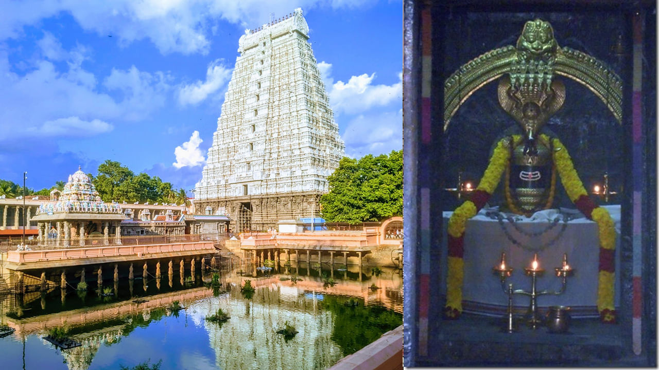 అరుణాచలేశ్వర ఆలయం, తిరువన్నమలై: అగ్ని తత్వాన్ని సూచించే అరుణాచలేశ్వర ఆలయం తిరువన్నమలైలోని అరుణాచల పర్వతం దిగువన ఉంది. ఇక్కడ శివుడి 'అగ్ని లింగం' రూపంలో దర్శనం ఇస్తాడు. ఈ పవిత్ర మందిరం దైవిక శక్తిని ప్రసరింపజేస్తుంది. ఆధ్యాత్మిక జ్ఞానోదయం, విముక్తి కోరుకునే భక్తులు ఇక్కడకి వెళ్తారు. ఆలయ గొప్ప నిర్మాణం, ప్రశాంతమైన వాతావరణం మంత్రముగ్ధులను చేస్తుంది. విరూపాక్ష గుహ, స్కందాశ్రమం, రమణ ఆశ్రమం ఇక్కడ సందర్శించవచ్చు.