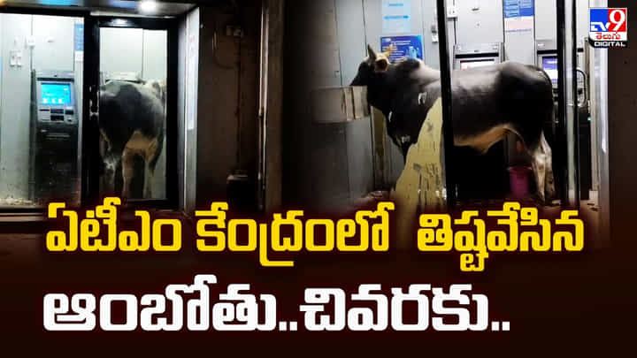 ఏటీఎం కేంద్రంలో తిష్టవేసిన ఆంబోతు.. చివరకు.. ఏటీఎం కేంద్రంలో తిష్టవేసిన ఆంబోతు.. చివరకు..