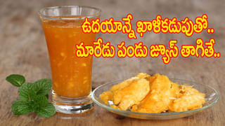 Cleaning Hacks: ఇంటి నేలపై, గోడలకు నాచు పట్టేసిందా.. ఈ సింపుల్ టిప్స్‌తో ఈజీగా శుభ్రం చేసుకోండి..