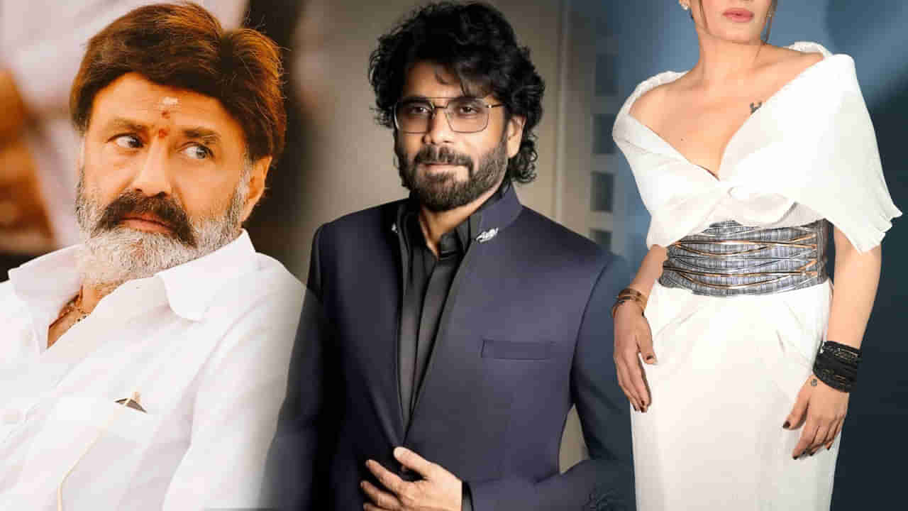 Nagarjuna : నాగార్జున, బాలకృష్ణతో బ్లాక్ బస్టర్ హిట్స్..కట్ చేస్తే.. 10 ఏళ్లకు రీఎంట్రీ ఇస్తున్న హీరోయిన్..