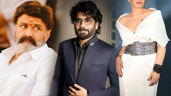 Nagarjuna : నాగార్జున, బాలకృష్ణతో బ్లాక్ బస్టర్ హిట్స్..కట్ చేస్తే.. 10 ఏళ్లకు రీఎంట్రీ ఇస్తున్న హీరోయిన్..