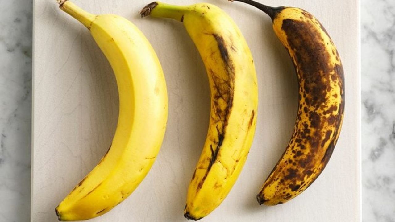 (నోట్‌: ఇందులోని అంశాలు కేవలం అవగాహన కోసం మాత్రమే. నిపుణుల సలహాలు, సూచనల మేరకు అందించడం జరిగింది. ఏవైనా సందేహాలు ఉంటే నిపుణులను సంప్రదించాలని సూచిస్తున్నాము.)