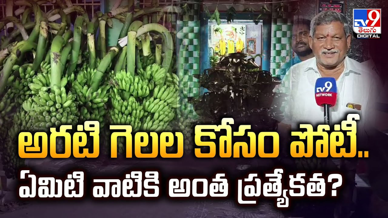 అరటి గెలల కోసం పోటీ.. ఏమిటి వాటికి అంత ప్రత్యేకత