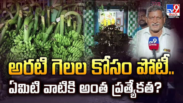 అరటి గెలల కోసం పోటీ.. ఏమిటి వాటికి అంత ప్రత్యేకత అరటి గెలల కోసం పోటీ.. ఏమిటి వాటికి అంత ప్రత్యేకత