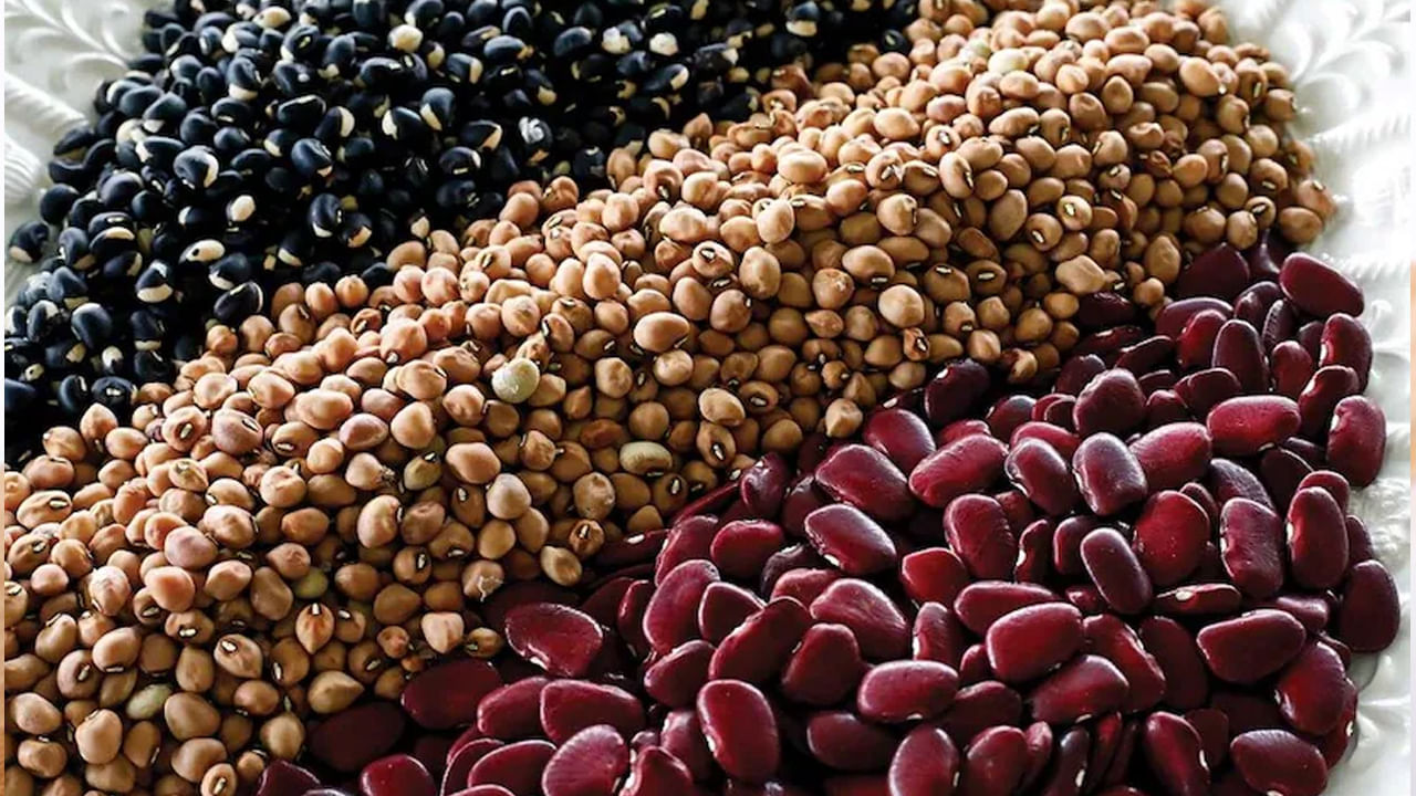 బీన్స్, పప్పులు: బీన్స్ ,పప్పులు ప్రోటీన్, ఫైబర్, విటమిన్లు, ఖనిజాలతో కూడిన ఆరోగ్యకరమైన ఆహారాలు. వీటిలో ముఖ్యంగా ప్రోటీన్, ఫైబర్ అధికంగా ఉంటాయి. 100 గ్రాముల బీన్స్, పప్పులు దాదాపు 333 కేలరీలు కలిగి ఉంటాయి. ఇవి ఆరోగ్యంతో పాటు అవసరమైన మేర బరువు తగ్గడానికి ఉపయోగపడుతాయి.