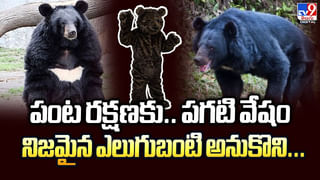 దీపావళి సెలవులు పొడిగింపు! తెలంగాణలో అలా.. ఏపీలో ఇలా