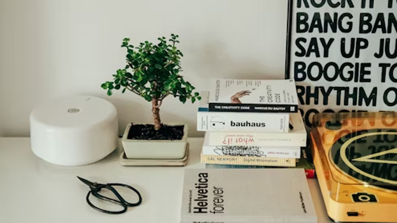 పదునైన వస్తువులు: పడకగదిలో కత్తులు, కత్తెరలు లేదా చాకు వంటి పదునైన వస్తువులను ఉంచడం అశుభకరమని భావిస్తారు. అవి మానసిక ఒత్తిడిని కలిగిస్తాయి. సంబంధాలను దెబ్బతీస్తాయి. కనుక వాటిని పడకగదిలో పెట్టుకోవద్దు. పరిహారం: వీటిని వంటగదిలో లేదా మరొక సురక్షితమైన ప్రదేశంలో ఉంచండి.
