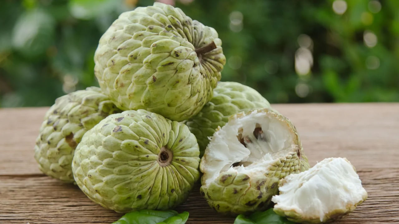 జీర్ణ సమస్యలు ఉన్నవారు: సీతాఫలంలో ఫైబర్ అధికంగా ఉంటుంది కాబట్టి, దానిని ఎక్కువగా తినడం వల్ల ఉబ్బరం, కడుపు నొప్పి, విరేచనాలు లేదా కడుపు నిండిన భావన వంటి కలుగు తుంది. ఇవి జీర్ణ సమస్యలను మరింత పెంచుతాయి. కాబట్టి ఈ సమస్యలు ఉన్నవారు సీతాఫలాలకు దూరంగా ఉండండి