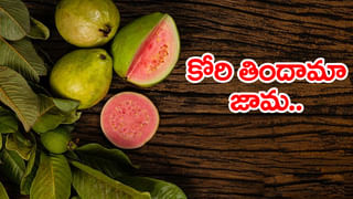 Perugu Pulusu Recipe: పెరుగు విరగకుండా.. అసలు సిసలైన చిక్కటి పెరుగు పులుసుకు ఇదే సీక్రెట్