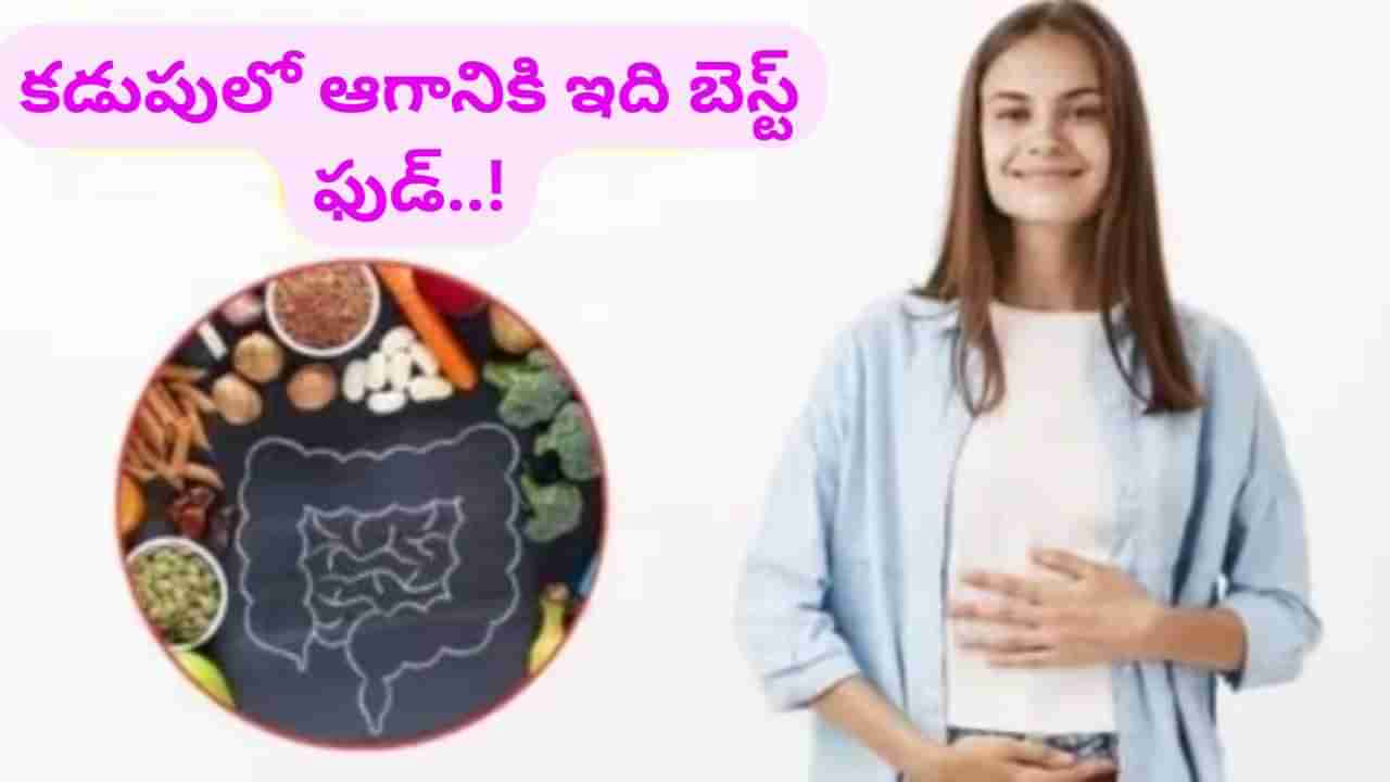 మీ జీర్ణవ్యవస్థ ఇబ్బంది పెడుతోందా..? కడుపులో ఆగమాగంగా ఉంటే ఈ 3 ఆహారాలు అద్భుతం చేస్తాయి..