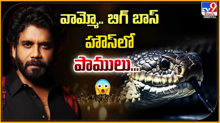 వామ్మో.. బిగ్ బాస్ హౌస్లో పాములు వీడియో వామ్మో.. బిగ్ బాస్ హౌస్లో పాములు వీడియో