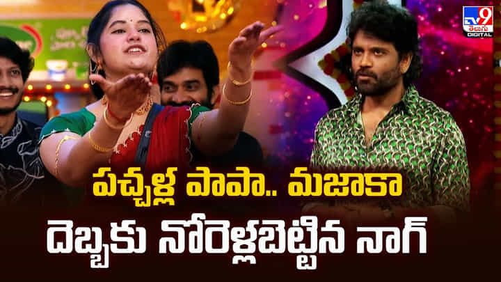 పచ్చళ్ల పాపా.. మజాకా దెబ్బకు నోరెళ్లబెట్టిన నాగ్ వీడియో పచ్చళ్ల పాపా.. మజాకా దెబ్బకు నోరెళ్లబెట్టిన నాగ్ వీడియో