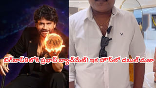 Actress : 58 ఏళ్ల హీరోకు నేను తల్లిగా నటించాలా.. ? రిజెక్ట్ చేసిన 38 ఏళ్ల హీరోయిన్.. కట్ చేస్తే.. 1200 కోట్లు వసూలు చేసిన సినిమా..